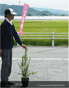 UN/ў֎F0.6mO2025.9Be