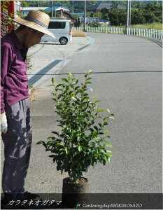 IK^}/J^}IK^}iF1.2mOj2025.9Be