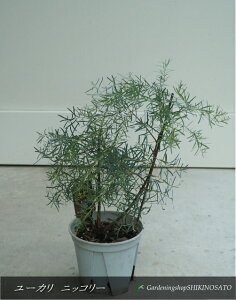 [J@jbR[/jRiF0.5mO2025.9Be