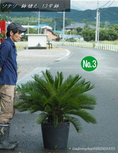 yiz\ec/hS@AiF1.2mOj132025.9Be