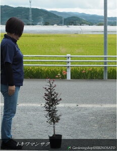 gL}TN/ՖhubNp[/lhF1mOj2025.9Be