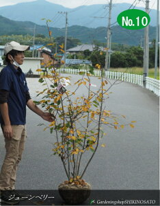 W[x[/Wx[h}L[hiF1.6mOj2025.9Be