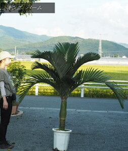 TCYV@LOp[␫iF1.6mOE10j2025.9Be