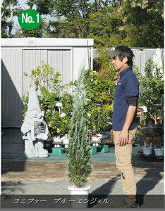 Rjt@[@u[GWF F1.5mO2025.10Be