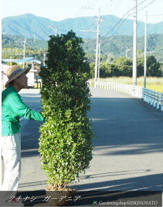 N`iV hK[fjAhdԁiF1.7mOj2025.10Be