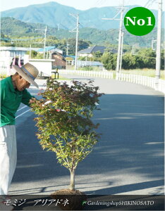 ~W/gt@AAh[liF1.3mOj2025.10Be