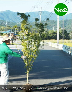 Vij[TS~W hXgth@No2iF2mOj2025.10Be