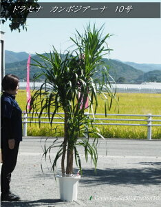 hZi@J{WA[i@3F iF1.8mOj2025.10Be