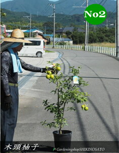 c2025.10tؓMqi{Mq/LgEYjiF1.3mOj2025.10Be