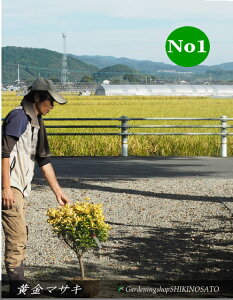 }TL @ێdā@"}TL" @F0.8mO2025.5Be