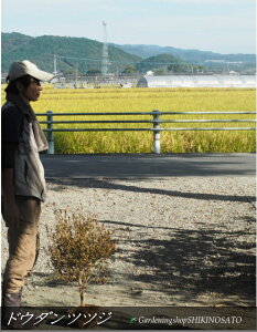 yXY̗lȉԁzhE_ccW iF0.7mOj2025.10Be