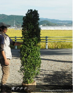 N`iV/Ȃ/qiF1.8mOj2025.10Be