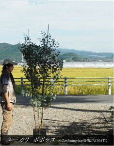 [J"||X"iF2mOj@2025.10Be