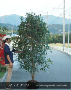 {[LNZC/؍ҁi2.1mOj2025.10Be