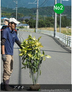 AIL/؁iAILo/ؗtjhTo[XghNo2iF1.2mOj2025.10Be