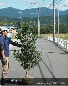 TJL/iF1.6mOj2025.10Be