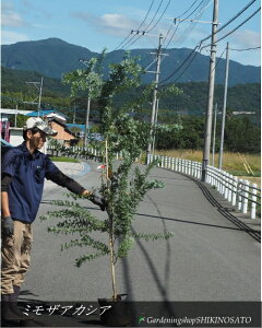 ~UAJVA/MEAJVAiF1.8mOj2025.10Be