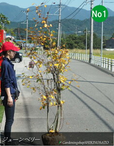 W[x[/Wx[h}L[hiF1.8mOj2025.10Be