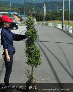 gL}TN/ՖhtԁhiF1.7mOj2025.10Be