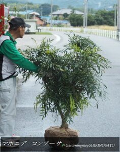 }zjAERt[T iF1.4mOj2024.10Be