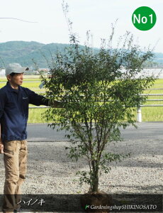 lC̃V{c[EډBɍœKnCmL@iF1.8mOj2025.10Be