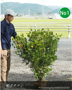 2025.10.30tN`iV/Ȃ/qiF1.2mOj2025.10Be