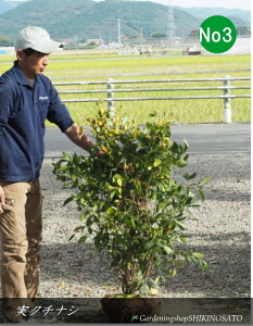 2025.10.30tN`iV/Ȃ/qNo3iF1.1mOj2025.10Be