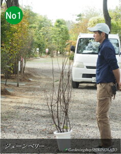 W[x[/Wx[iF1.3mOj2025.10Be