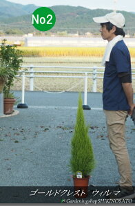 Rjt@[/S[hNXg/EB}iF1mOE6j2025.10Be