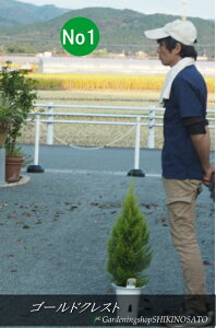 Rjt@[/S[hNXgiF0.8mOj2025.10Be