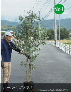 [J̖/[J h||XhiF1.8mOj2025.10Be