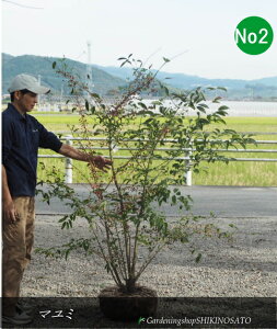 }~@iFsNnj No2iF1.7mOj2025.10Be