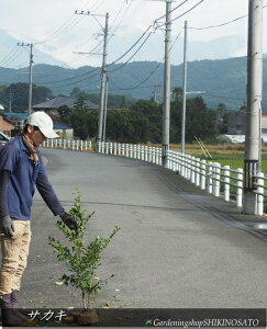 TJL/iF0.9mOj2024.610Be