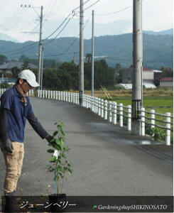 W[x[/Wx[@c؎F0.7mO2025.10Be