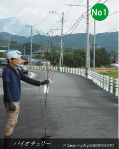 y󏭎Ecׁzv/X@oCI`F[F1.8mO2025.10Be