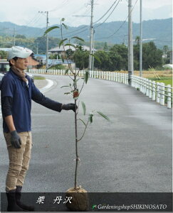 cI/N/I̖؁@O/񂴂F1.6mO2025.10Be