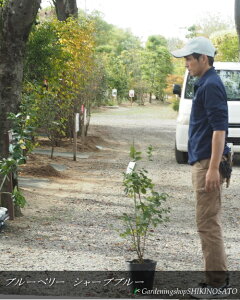 u[x[/u[x[c؁@TUnCubViV[vu[jF0.9mO2025.10Be