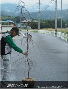 }//V_UN /i}j JV_iF1.8mOj2025.10Be