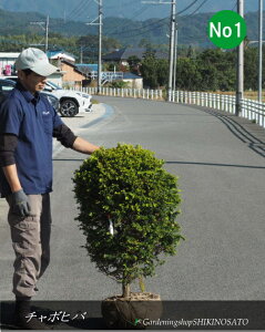 Rjt@[IES`{qo/`{qo/S[fs[RbN/`{qoNo1iF0.9mOEF55cmj2025.11Be