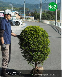 Rjt@[IES`{qo/`{qo/S[fs[RbN/`{qoNo2iF1.2mOEF70cmj2025.11Be