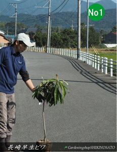 r/fh葁hiF1mOjNo12025.11Be