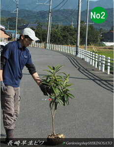 r/fh葁hiF1mOj2025.11Be