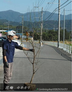 E/niE/~/Ԕ~iiF֎/ZLjiF2.2mOj2025.11Be