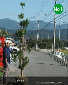 䐙/_CXM/iF2.8mOj2024.11Be