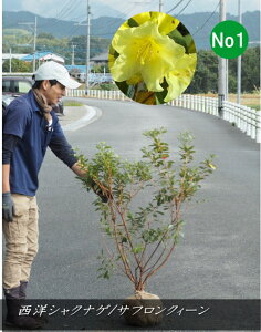 cEr^~J[cmVNiQ/TtNB[ETtNC[ iF1`1.2mOj2025.10Be