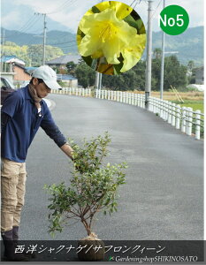 cEr^~J[cmVNiQ/TtNB[ETtNC[No5 iF1mOj2025.10Be