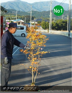 TThE_ccWiXѓUPjiF1.5mOj2025.11Be