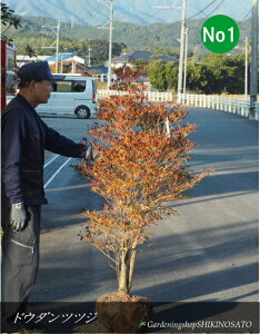 hE_ccW/ǂ/hE_UPNo1iF1.5mOj2025.11Be