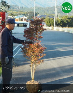 hE_ccW/ǂ/hE_UPNo2iF1.5mOj2025.11Be