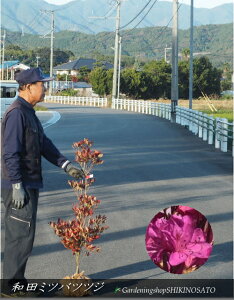 ac~coccW/OtiF1mOj2025.11Be